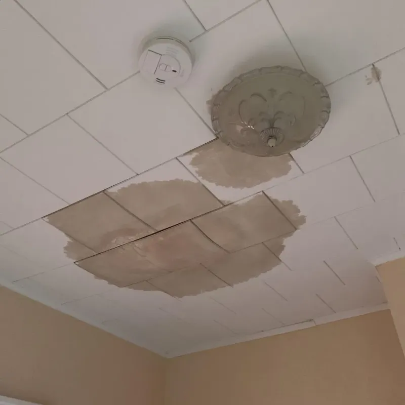 Ceiling Water Damage Repair in Clay County, SD