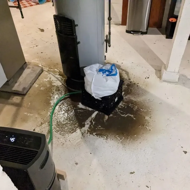 Sewage Backup Cleanup Service in Clay County, SD